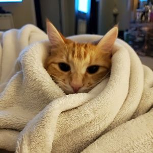 Meet your Posher, Jocelyn